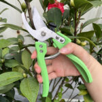 Stainless Steel Bonsai Trimmer - Cutting Tools - 青岛立...